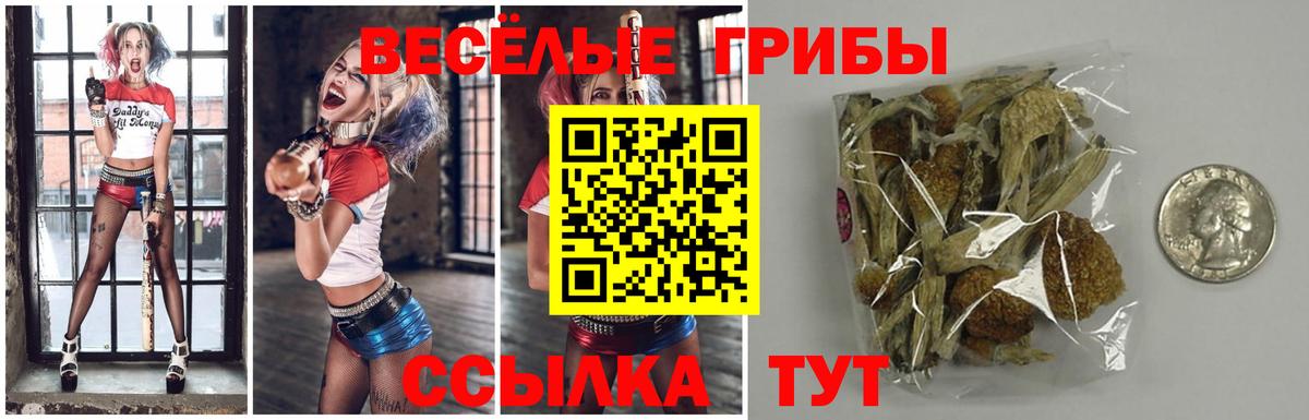 Псилоцибиновые грибы Magic Shrooms  где продают   Сланцы  Вход с VPN 